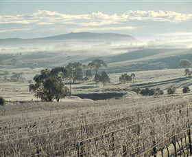 Kurrajong Downs Wines Vineyard - Accommodation VIC 1