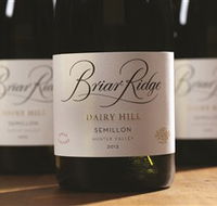 Briar Ridge Vineyard - Accommodation VIC