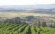 De Salis Wines - thumb 1