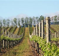 Philip Shaw Wines - Accommodation VIC