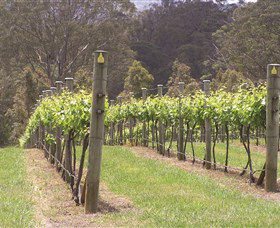 Diamond Creek Estate Cellar Door - Accommodation VIC 2