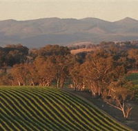 Angullong Wines - Accommodation VIC