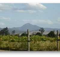 Ironbark Ridge Vineyard - Accommodation VIC