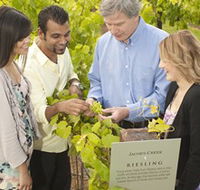 Jacob's Creek Vineyard Tour - Accommodation VIC