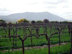 Remarkable View Wines - Accommodation VIC 1