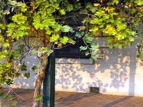 Wolseley SA Accommodation VIC