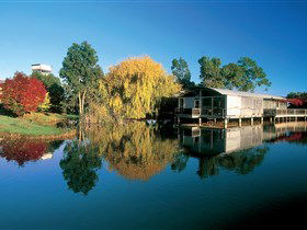 Balnaves Of Coonawarra - Accommodation VIC 0