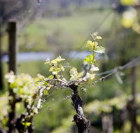 Mount Cole WineWorks - Accommodation VIC