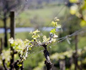 Mount Cole WineWorks - Accommodation VIC 0