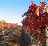 Kooyonga Creek Wines - Accommodation VIC