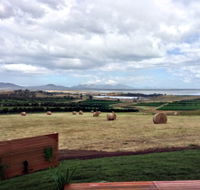 The Hazards Vineyard - Devil's Corner - Accommodation VIC