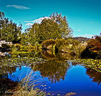 Loira Vines - Accommodation VIC