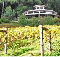 Peveril Vineyard/Beechy Berries - Accommodation VIC