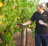 Fratin Brothers Vineyard - Accommodation VIC