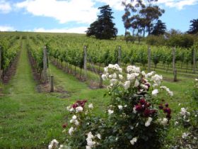 Mount Duneed ACT Accommodation VIC