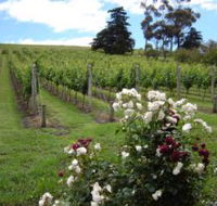 Pembroke Estate Vineyard - Accommodation VIC