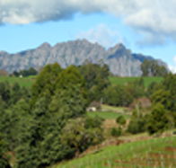 Lake Barrington Vineyard - Accommodation VIC