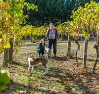 Little River Wines of Taggerty - Accommodation VIC