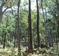 Cathedral Range State Park - Accommodation VIC