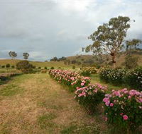 Damasque Rose Oil Farm - Accommodation VIC