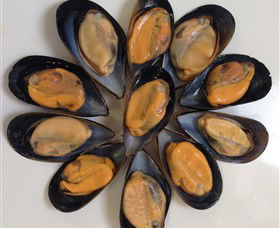 Advance Mussel Supply - Accommodation VIC 3