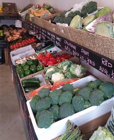 Farmers Harvest - Accommodation VIC 1