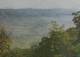 Mount Granya State Park - Accommodation VIC 0