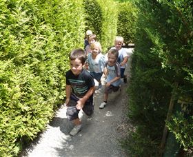 Hedgend Maze And Healesville Laser Sport - Accommodation VIC 1