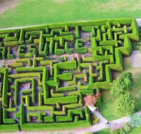 Hedgend Maze and Healesville Laser Sport - Accommodation VIC