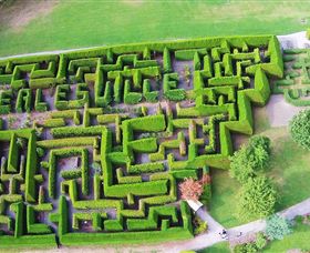 Hedgend Maze And Healesville Laser Sport - Accommodation VIC 0