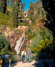 Steavenson Falls Marysville - Accommodation VIC 1