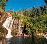 Steavenson Falls Marysville - Accommodation VIC