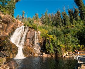 Steavenson Falls Marysville - Accommodation VIC 0