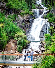 Steavenson Falls Marysville - Accommodation VIC 2