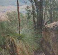 Mount Lawson State Park - Accommodation VIC