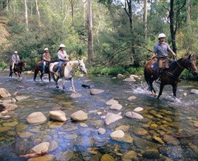 Howqua Hills Historic Area - Accommodation VIC 0