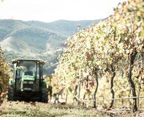 Logan Wines - Accommodation VIC 5
