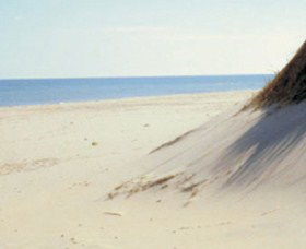 Lilley's Beach - Accommodation VIC 2