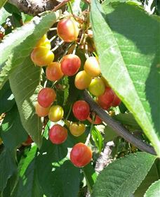 Mouat's Farm - Accommodation VIC 1