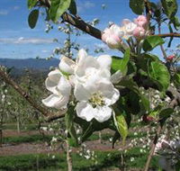 Mouat's Farm - Accommodation VIC
