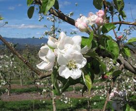Mouat's Farm - Accommodation VIC 0