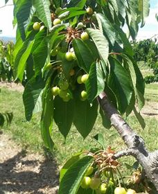 Mouat's Farm - Accommodation VIC 2