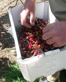 Mouat's Farm - Accommodation VIC 3