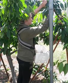 Mouat's Farm - Accommodation VIC 4