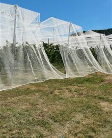 Mouat's Farm - Accommodation VIC 5