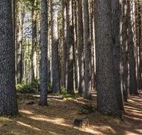 Sugarpine Walk - Accommodation VIC