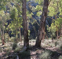 Mount Gray walking track - Accommodation VIC