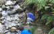 Shelley Forest Camp - thumb 2