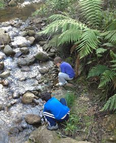 Shelley Forest Camp - Accommodation VIC 2