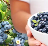 Jolly Berries - Accommodation VIC